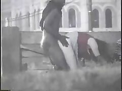 സോഫയിൽ ഫാലസ് നിന്ന് വെളുത്ത ദമ്പതികൾ കം ശേഷം